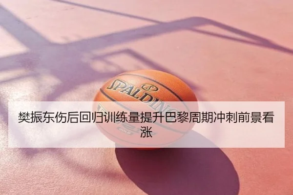 樊振东伤后回归训练量提升巴黎周期冲刺前景看涨