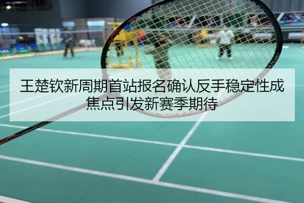 王楚钦新周期首站报名确认反手稳定性成焦点引发新赛季期待